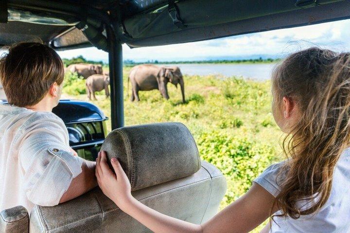 スリランカ文化と野生動物の逃避行 6日間