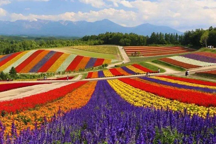 Private Full Day Hokkaido Tour Flower Fields and Blue Pond