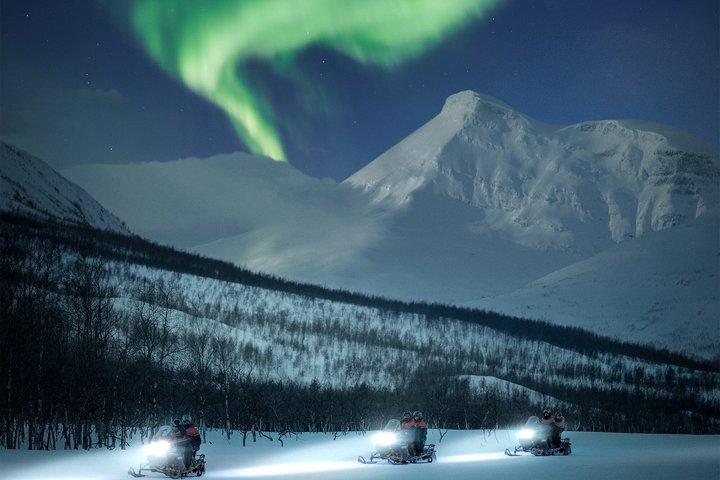 Arctic All-in-One Night: Sliding de cães, snowmobiling e aurora
