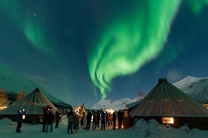 Wilderness Aurora Experience at Camp Tamok