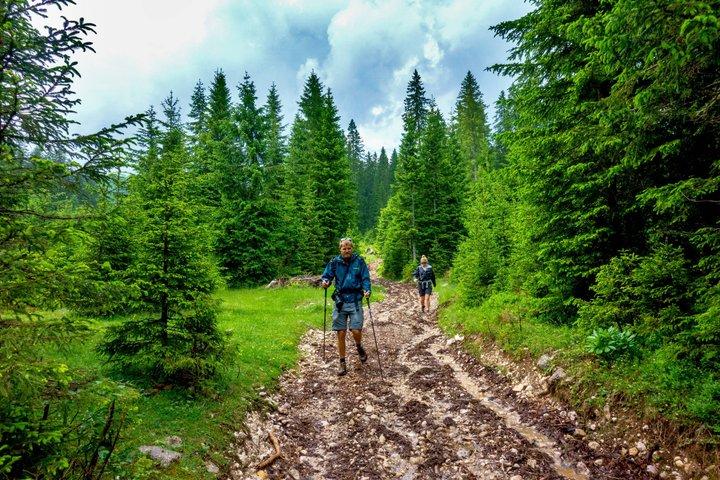 Debela Peč Hike : ジュリアンアルプスとブレッド湖のパノラマビュー
