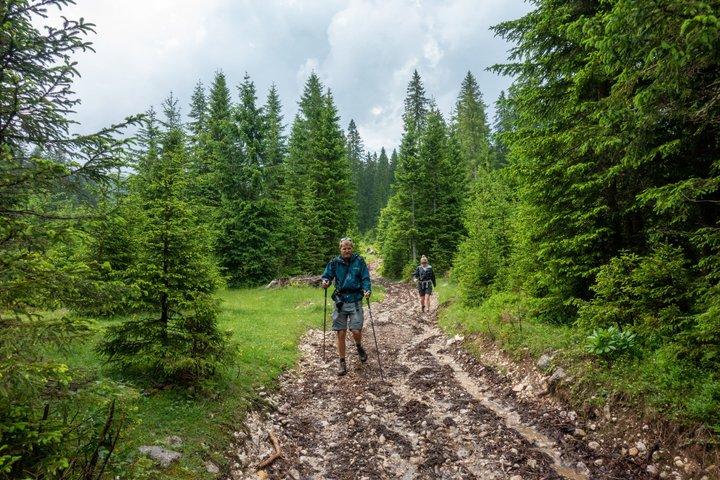 Debela Peč Hike : ジュリアンアルプスとブレッド湖のパノラマビュー