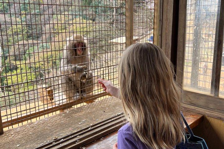 Kyoto : Arashiyama Unveiled – Bambo, Templo, Matcha, Macacos