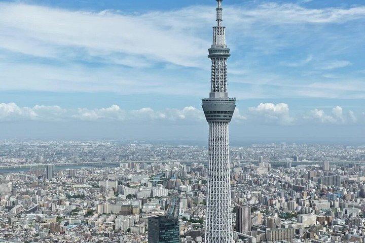 ホテル送迎付きプライベート全日東京観光ツアー