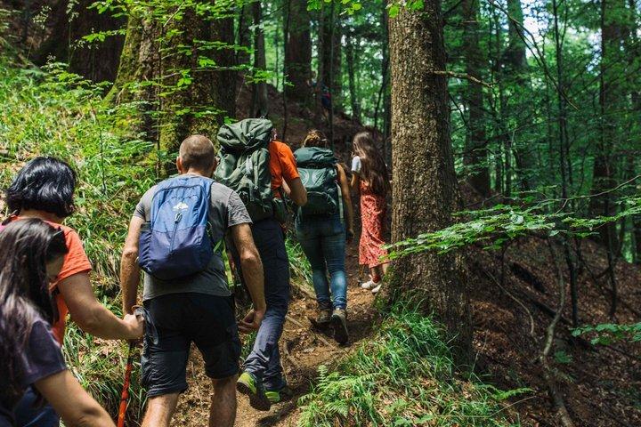 Batumi: Hike and Swimi in Mtirala National Park