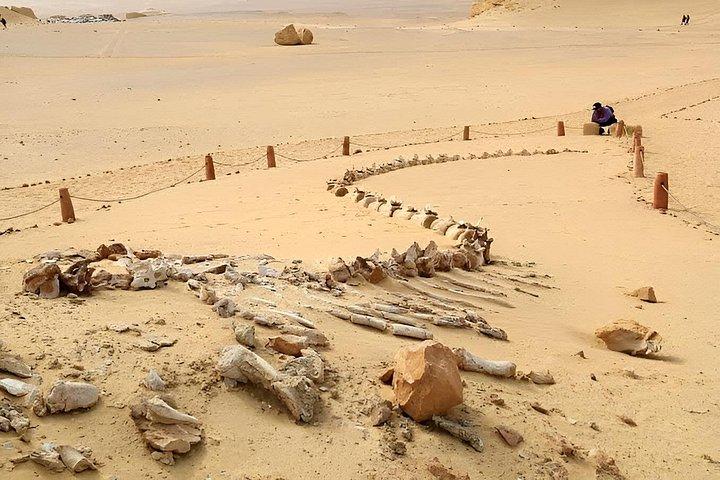 鯨の谷を含むエル・ファユーム砂漠サファリツアー
