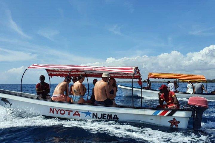 Nagez avec Dolphin et Aventure de plongée en apnée à l'île de Mnemba