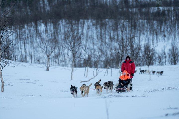 北極コンボ:犬ぞり、スノーモービル&トナカイ訪問