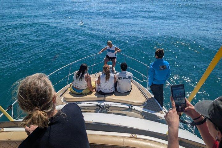 4 uur privéjacht charter vanuit Fuengirola met hapjes en drankjes
