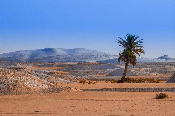 Korte vakantie bij Siwa Oasis & Cairo Adventure in Egypte 5 dagen