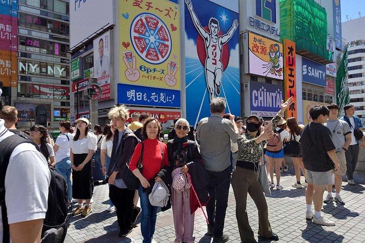 大阪カスタマイズ半日ツアー（現地ガイド付）
