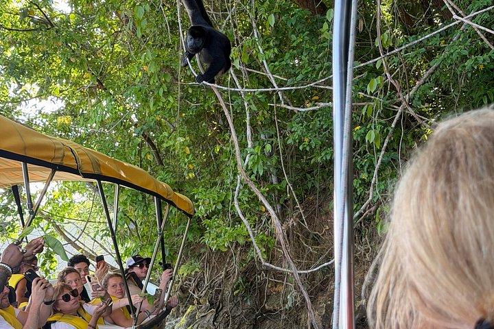 熱帯雨林ジャングルウォークでパナマ運河とガトゥン湖を散策