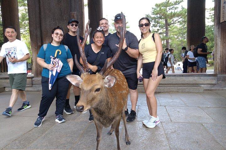 ライセンスガイド付き1日で奈良カスタマイズプライベートツアー