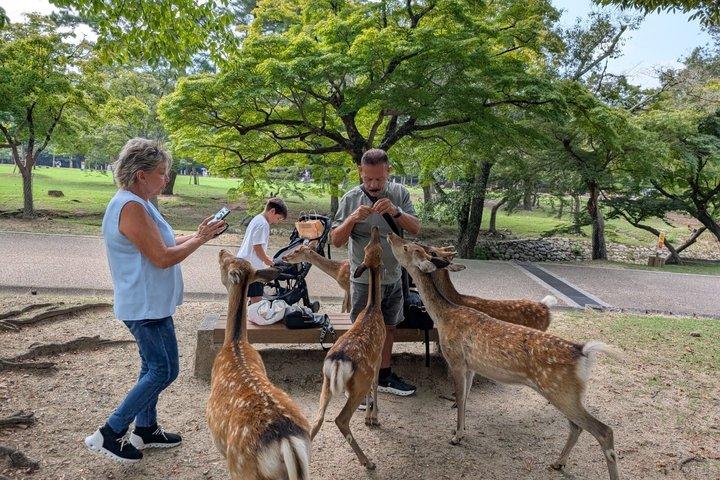 Nara Tour Privado Personalizado em 1 Dia com Guia Licenciado