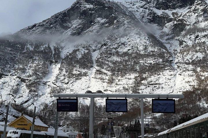 ベルゲン発：フローム鉄道、ステガステイン＆ネロイフィヨルドクルーズ