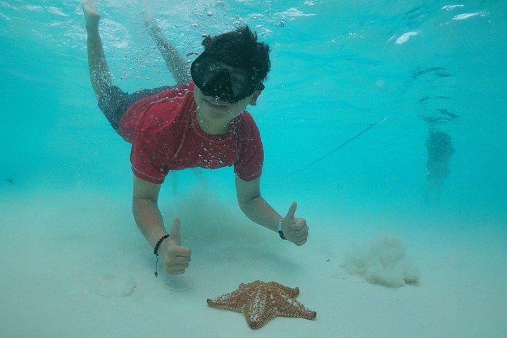 Cozumel Reefs e El Cielo Tour in catamarano con scivolo