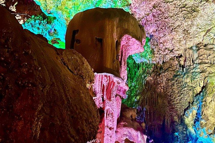 Cuevas de Canelobre: Tour guiado desde Alicante con traslado