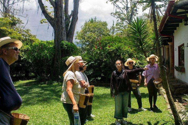 Visit to Finca Cafetera From Seed to Cup
