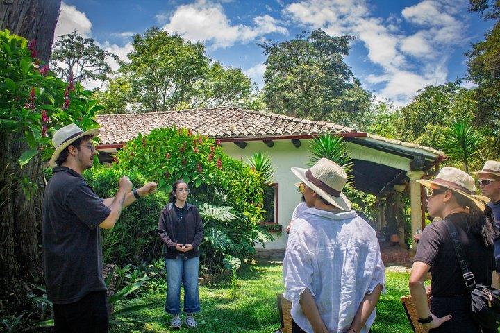 Visit to Finca Cafetera From Seed to Cup