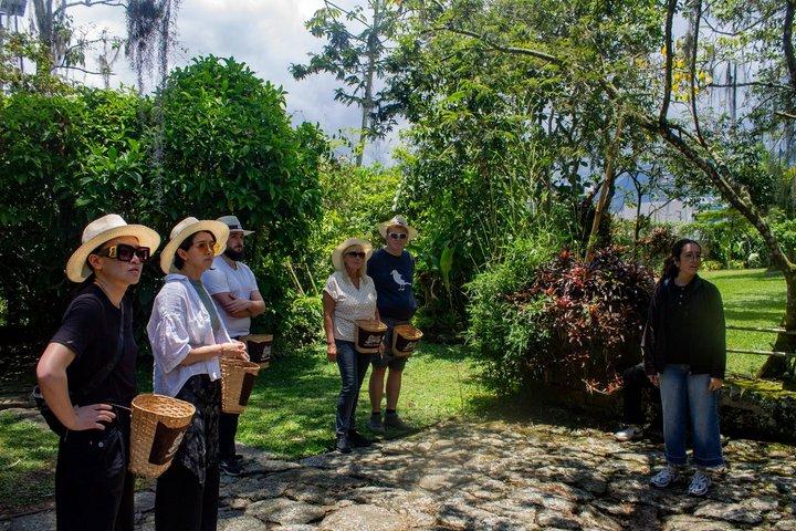 Visit to Finca Cafetera From Seed to Cup