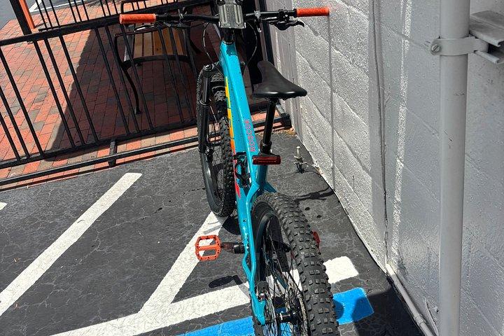 Standard- und Mountainbikeverleih