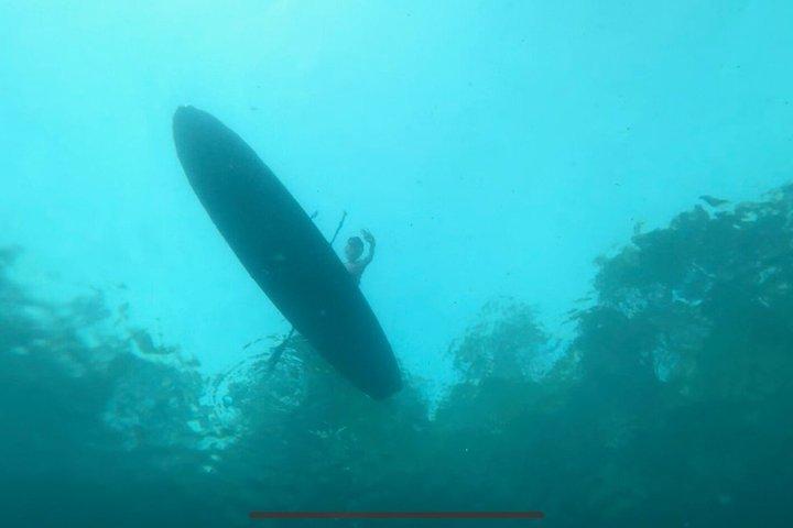Guidede paddleboard-snorkeltur i Rainbow River