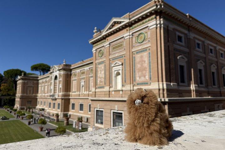 Visita guiada privada al Vaticano de medio día