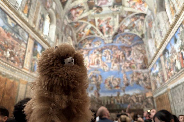 Visita guiada privada al Vaticano de medio día