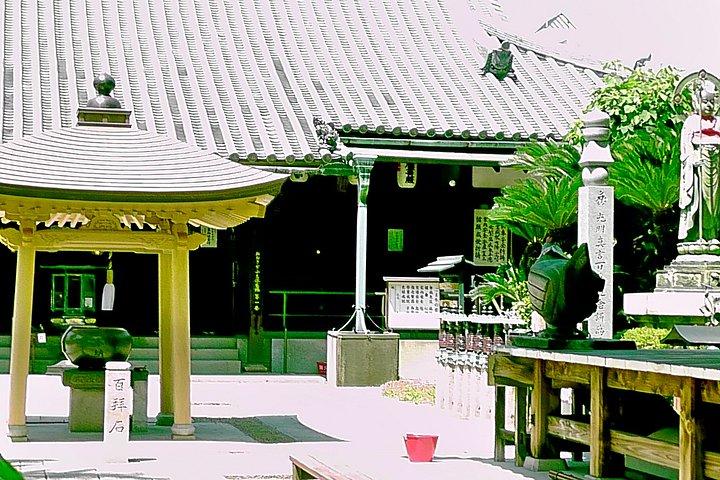 Yatsurugi Shrine Plus Two Temples Private Tour from Osaka