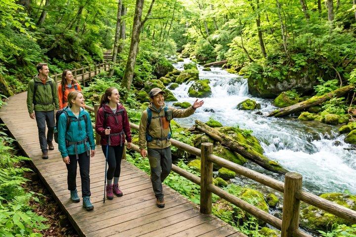 Oirase Gorge & Lake Towada Day Hike with Licensed Guide