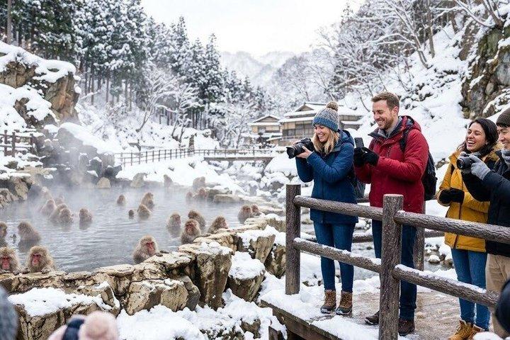 Excursão de Nagano Snow Monkey and Obuse: Inglês Speaking Driver Only
