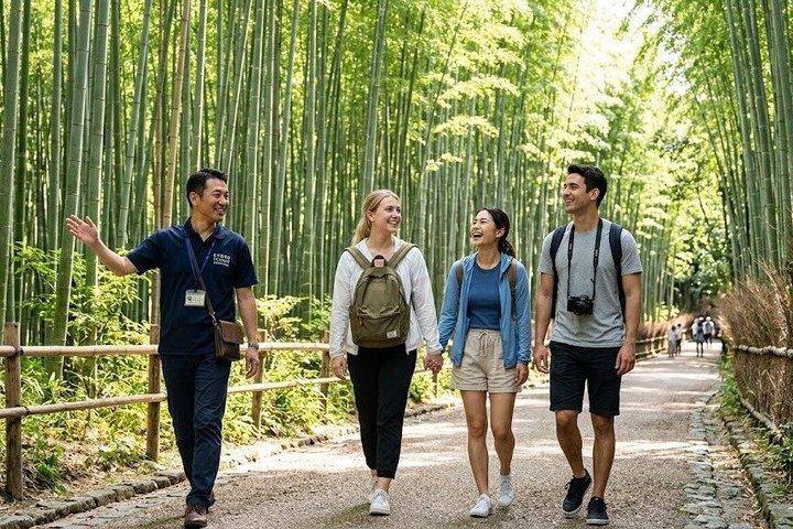 Kyoto Arashiyama & Sagano Bamboo Privat tur med regeringslicenseret guide