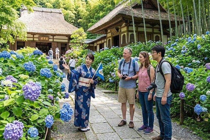Private Reise zu den Zen-Tempeln und -Gärten von Kamakura mit staatlich lizenziertem Führer