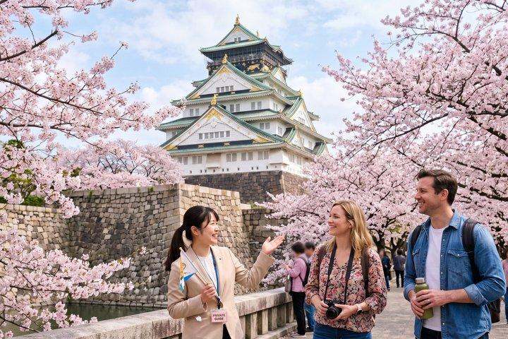 Tour privado de 6 horas por lo más destacado de Instagram de Osaka con guía autorizado