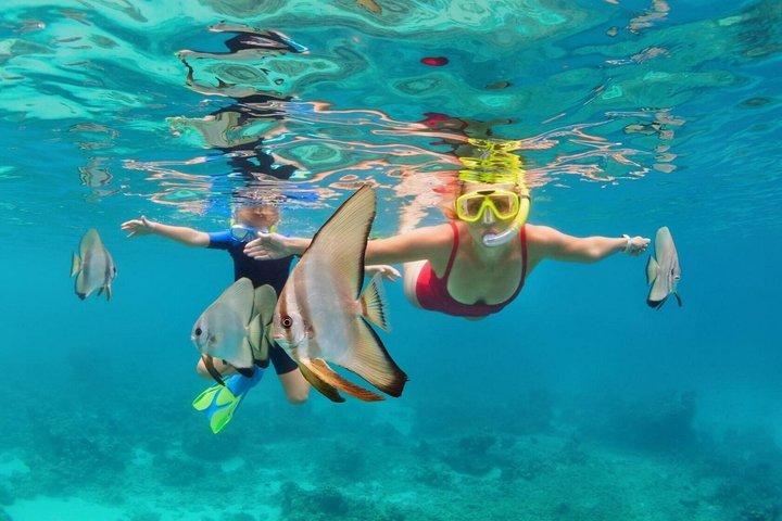 Roatan Snorkeling Adventure and Beach Day Pass