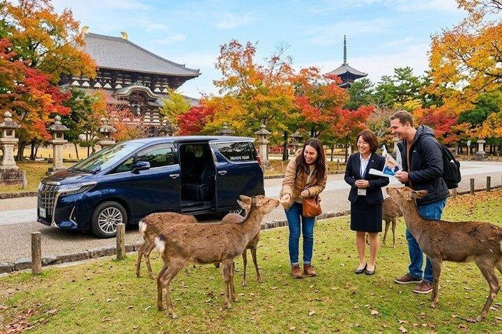 Nara 9 heures de visite guidée et véhicule agréés : prise en charge à Kyoto/retour à Osaka