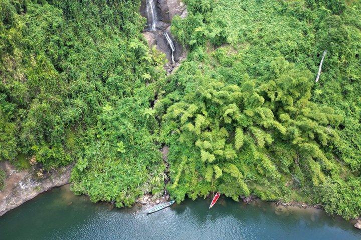 フィジーの宝石、フィジーの村、滝、コーラルコーストのランチ付き