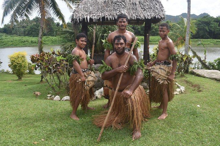 フィジーの宝石、フィジーの村、滝、コーラルコーストのランチ付き