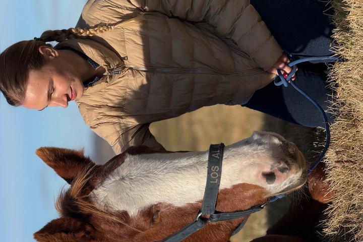 プエルト・ナタレス近郊半日ホースコネクション体験