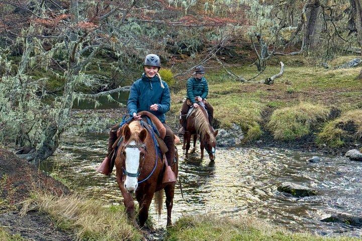 Experiencia de conexión a caballo de medio día cerca de Puerto Natales