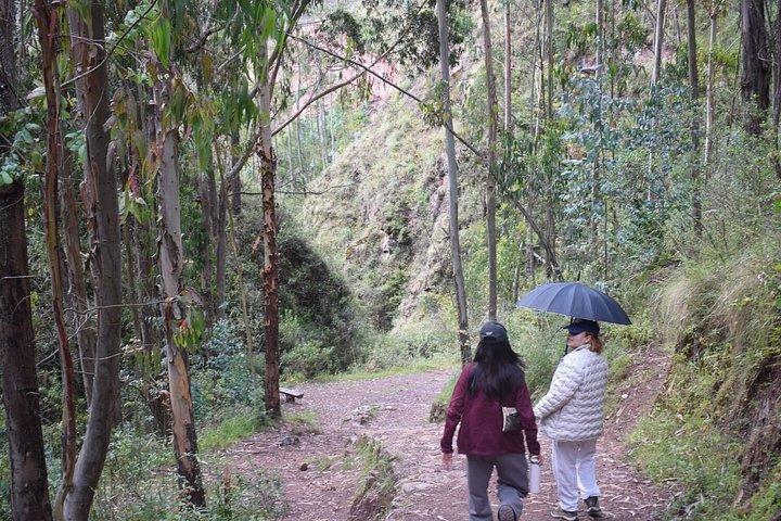 クスコ発、忘れられないアルパカとラマの旅