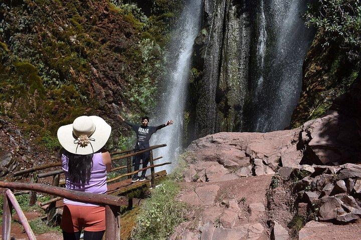 クスコ発、忘れられないアルパカとラマの旅