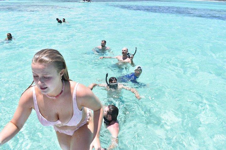 プンタカナパーティー酒蔵クルーズ、オープンバー、シュノーケリング大人専用
