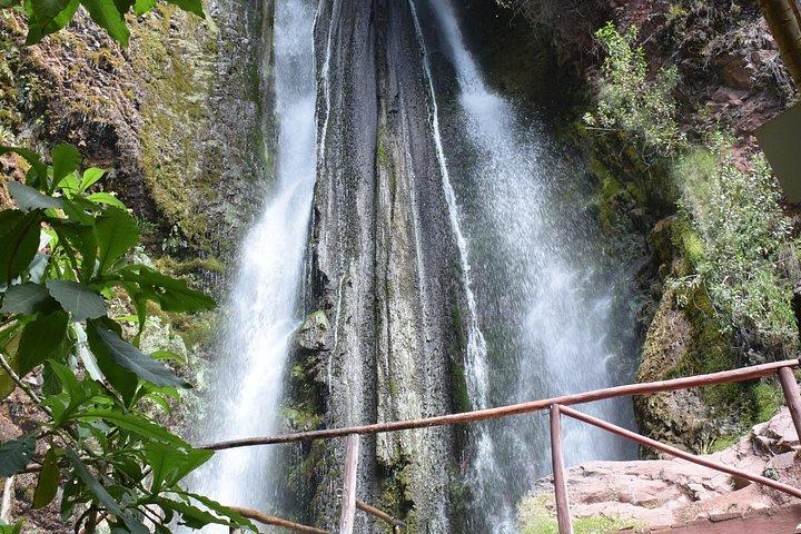 クスコ発、忘れられないアルパカとラマの旅