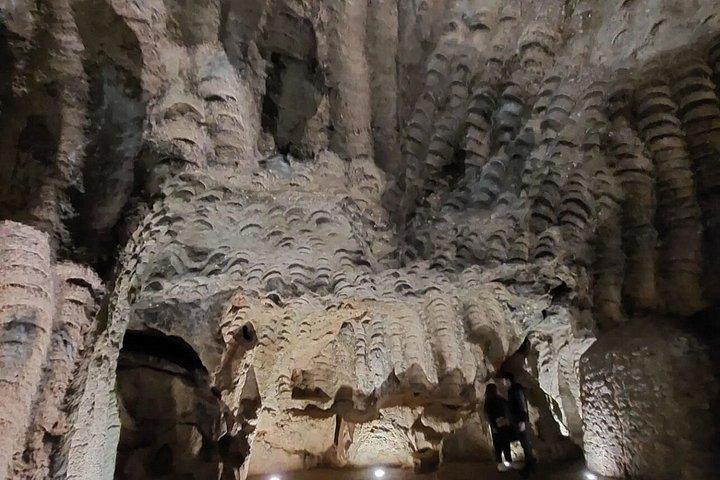 エステポーナ発ラグジュアリーオールインクルーシブタンジェ日帰り旅行
