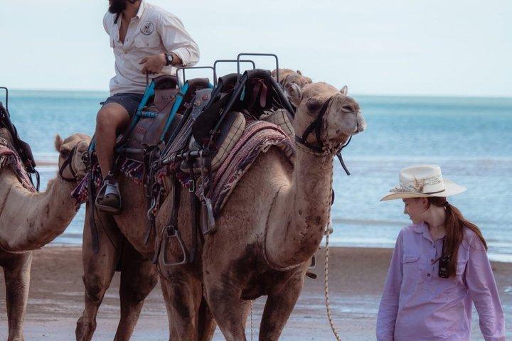 Darwin: giro in cammello sulla spiaggia a Mindil Beach