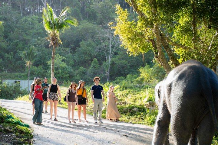Privata Phuket höjdpunkter med etiska elefant besök
