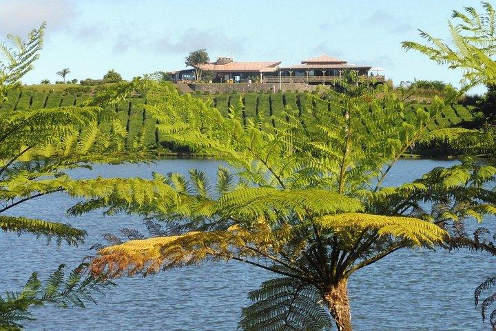 Full Day Private Guided South Tour in Mauritius