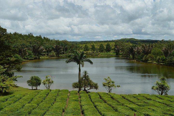 Full Day Private Guided South Tour in Mauritius