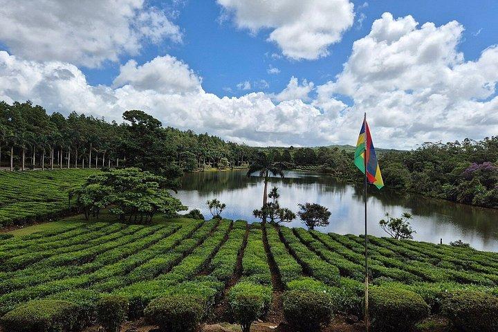Full Day Private Guided South Tour in Mauritius